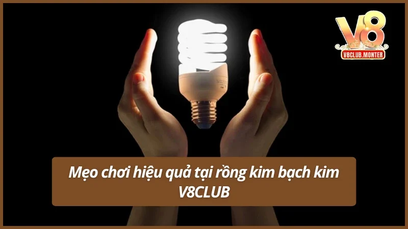 Mẹo chơi hiệu quả tại rồng bạch kim tại V8CLUB